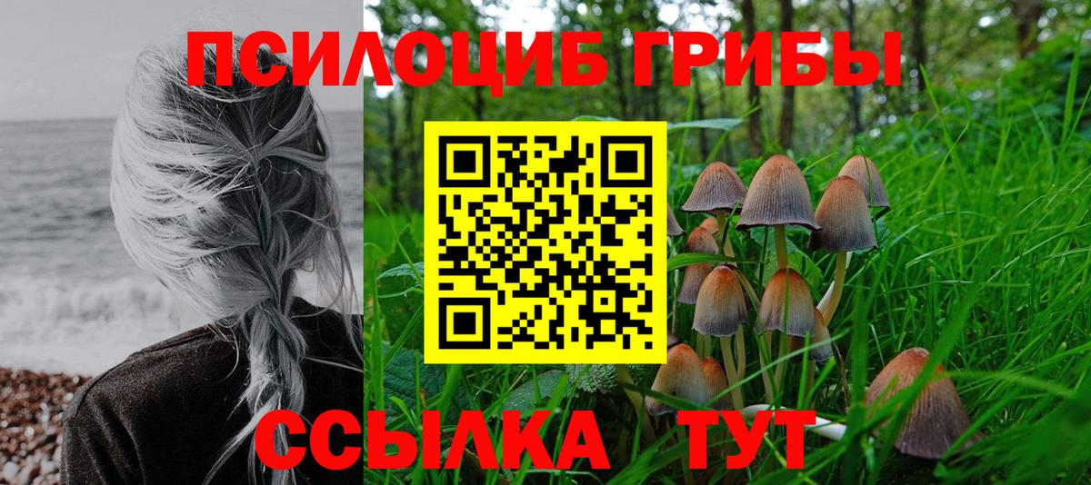 Псилоцибиновые грибы Cubensis Урай